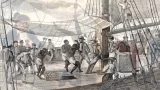 Histoire de la traite négrière : 2. Un aspect sinistre du commerce triangulaire et une composante essentielle de l'économie sociale